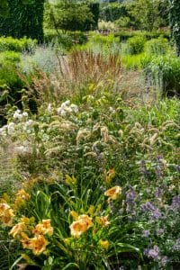 Hemerocallis, Nepata, Calamagrostis, Perovskia, Phlomis, Anemone. 